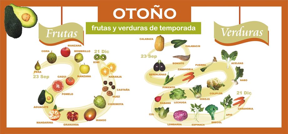 Guía De Frutas Y Verduras De Temporada El Paladar 1535